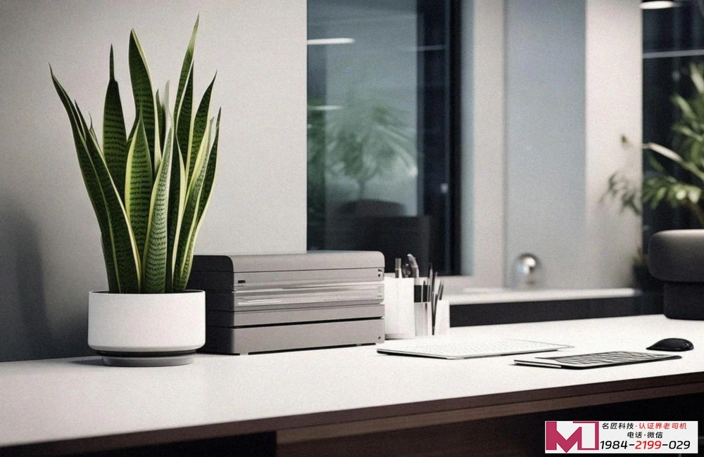 认证服务代理，怎么选才放心，专业选择助你避坑，