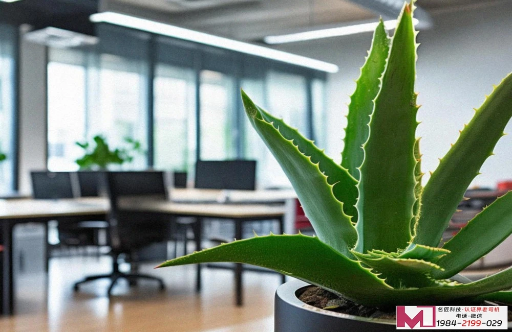 施工三体系认证,打通招投标门槛,守护企业生命线 施工三体系认证,打通招投标门槛,守护企业生命线