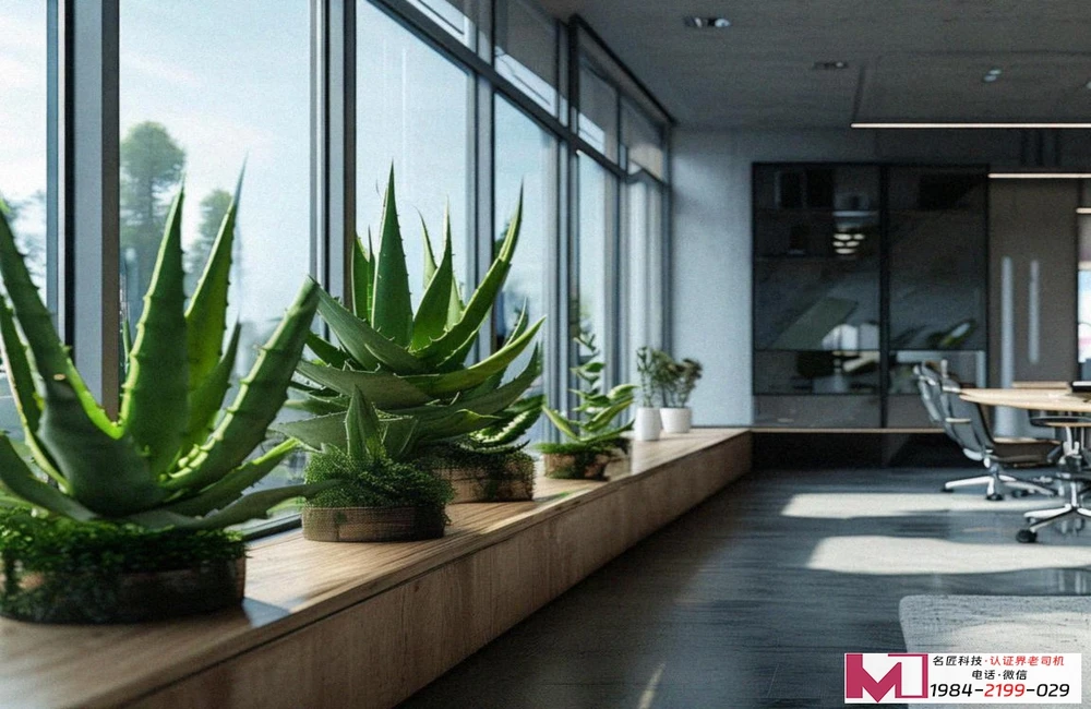 三体系认证证书，企业如何高效获取，权威认证深度解析