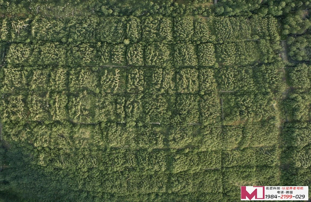 三体系认证价位的秘密，企业老板别急着买单！