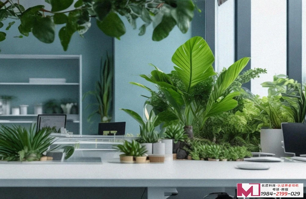 三体系认证机构查询，选对靠谱机构，企业成长少走弯路