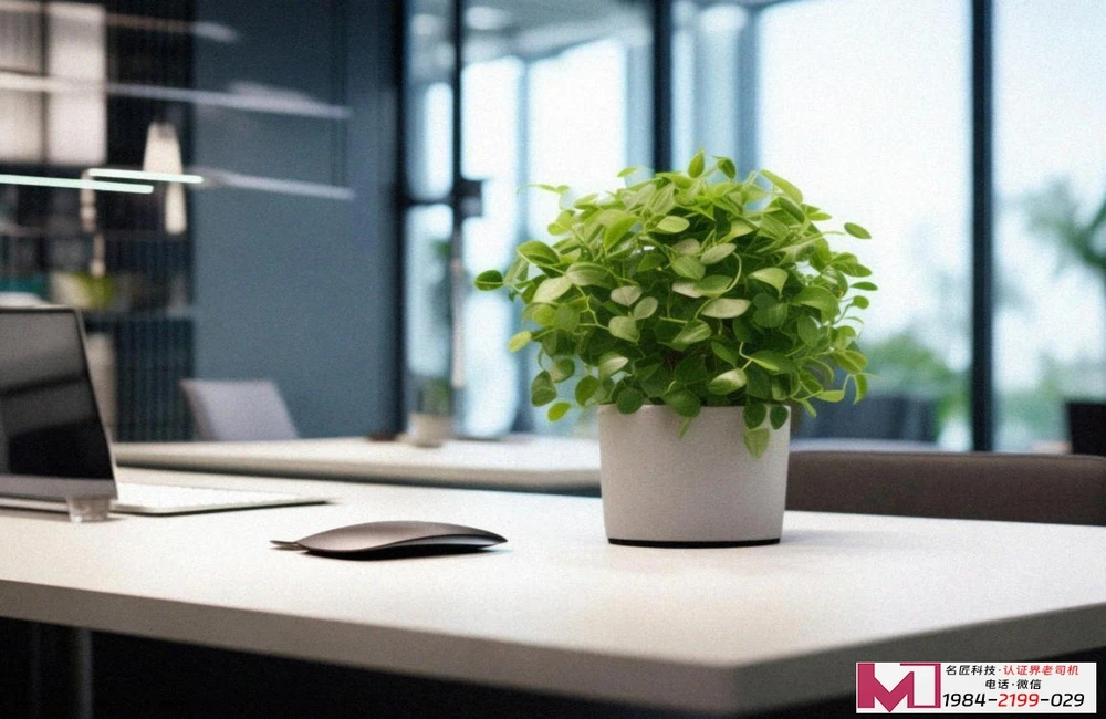 绿色食品认证多少钱，揭秘真实费用构成，看清价值所在