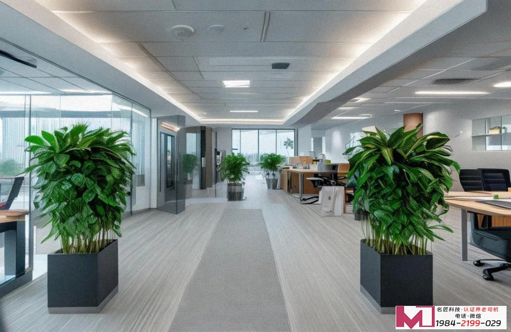 中国绿色产品认证，企业转型新机遇，市场突围金钥匙