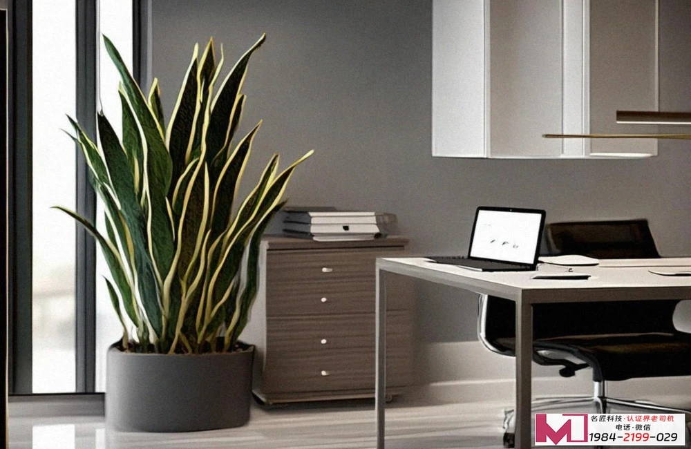 三体系认证，企业管理的金钥匙，提升竞争力的捷径。