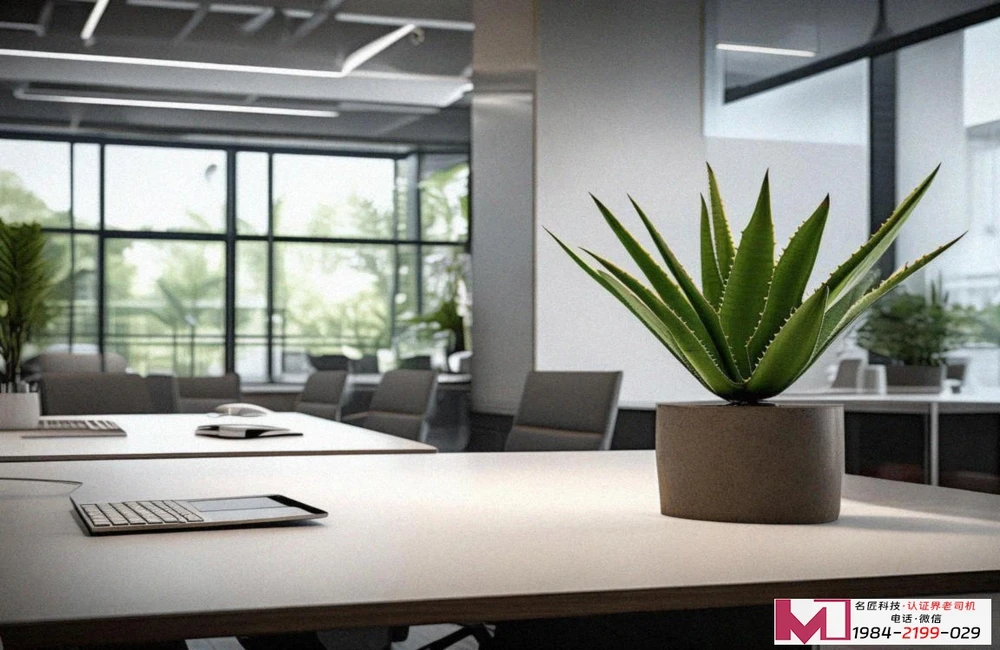 长沙ISO质量体系认证指南，快速读懂标准，高效获取权威证书