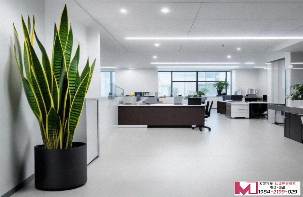 三体系认证费用，透明解读与价值分析