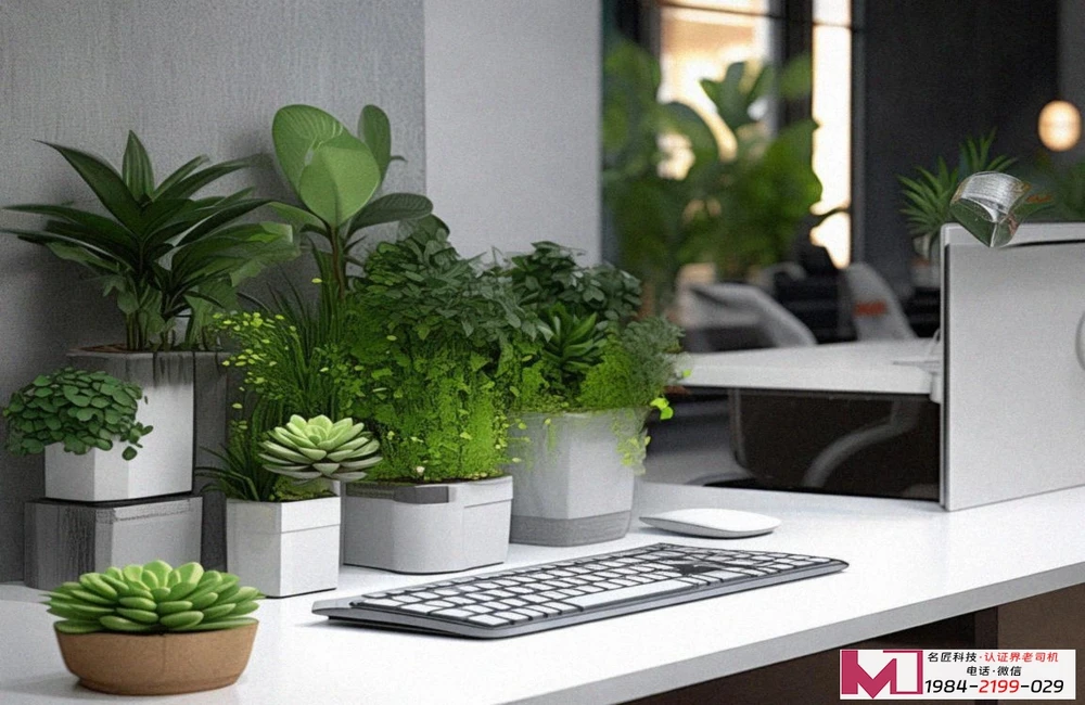 ISO50001认证机构，降本增效利器，权威之选揭秘