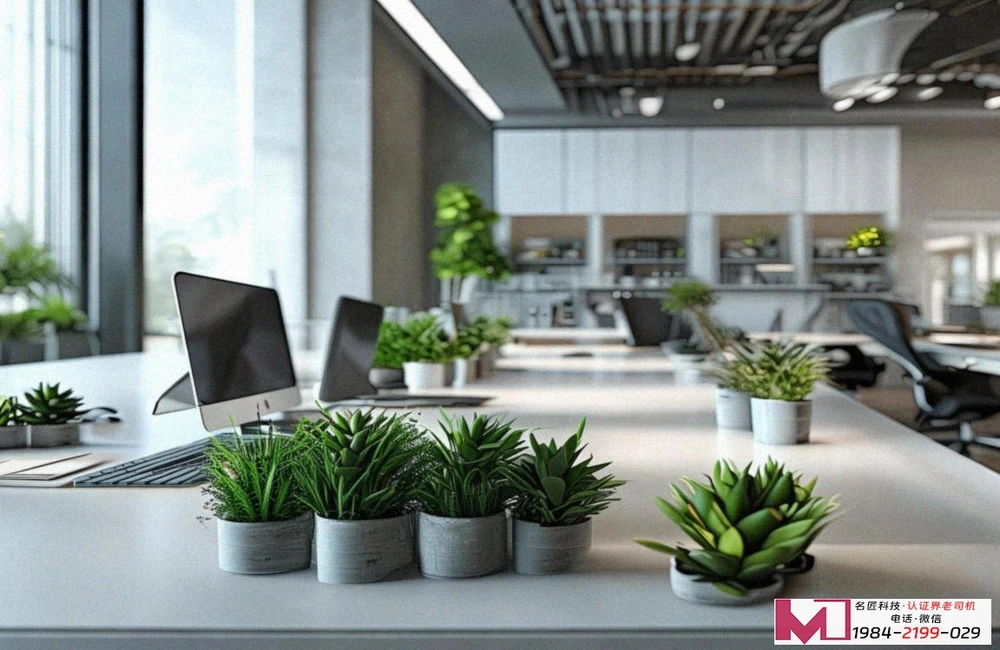 ISO环境管理体系认证怎么办理，广州企业看这里，一文讲透全流程