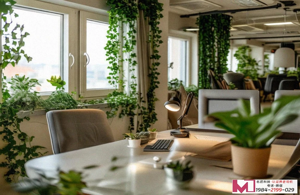 三体系认证，企业降本增效，提升品牌信任度