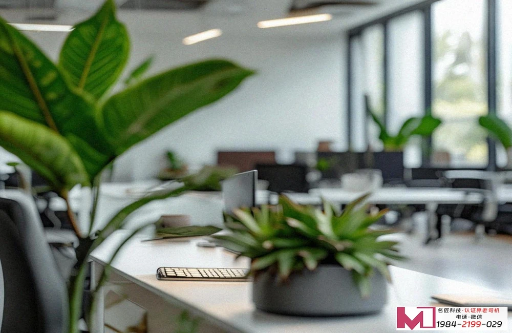 环境管理体系认证，企业绿色通行证，迈向可持续发展