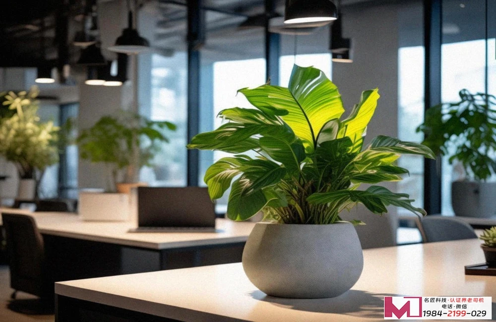 HACCP认证与ISO9001，企业质量管理双引擎，如何协同增效？