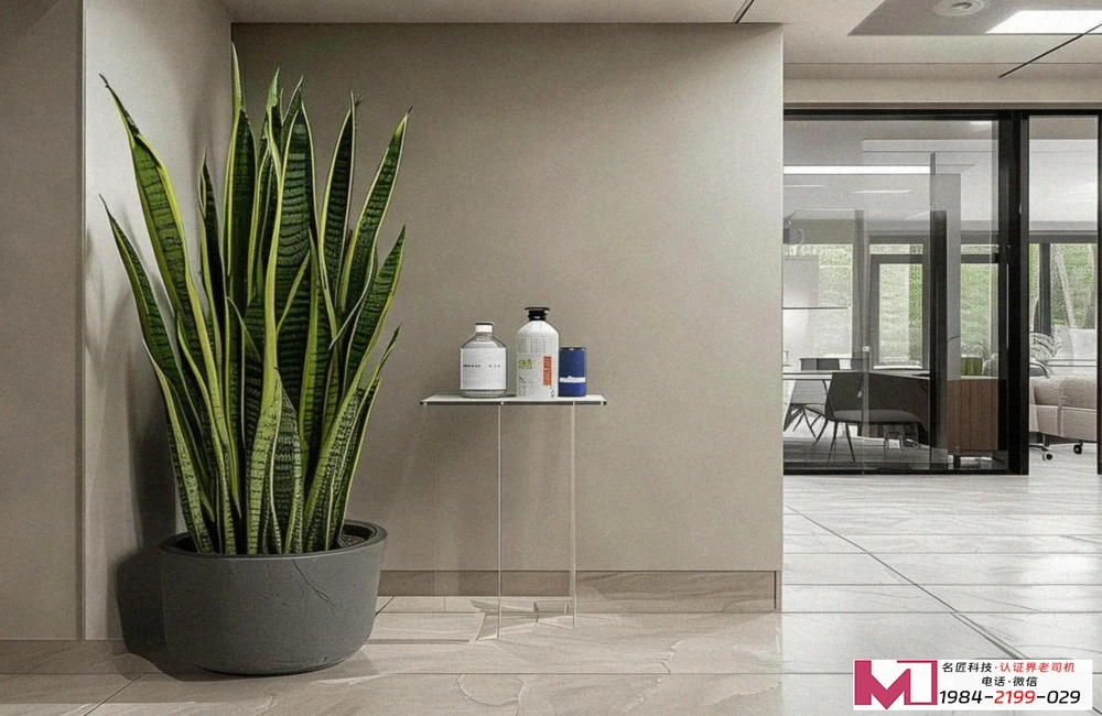 环境管理体系认证，提升企业绿色竞争力，规避潜在运营风险